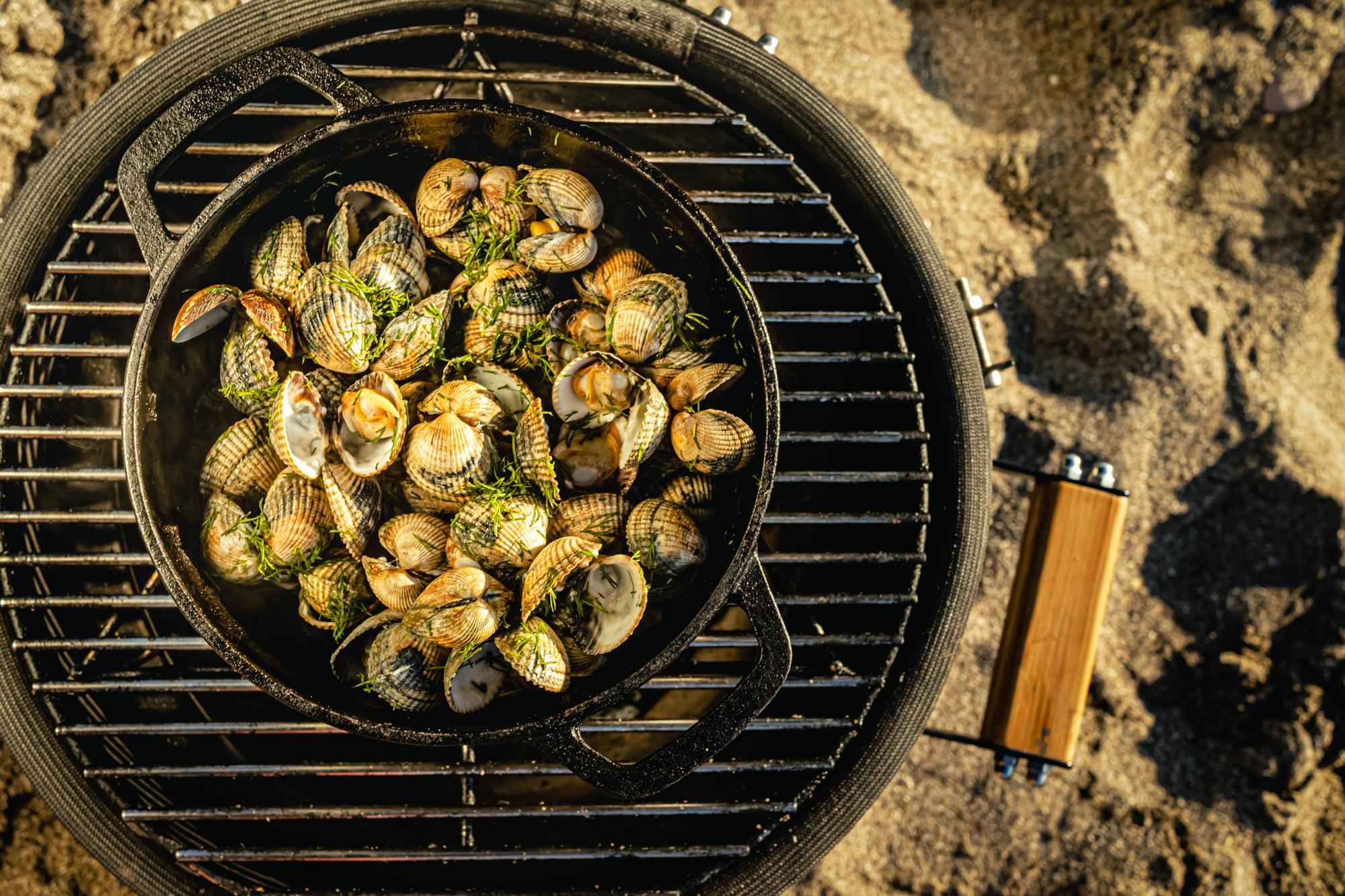 Iron BBQ PAN SMALL